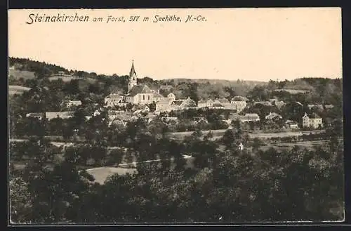 AK Steinakirchen am Forst /N.-Oe., Teilansicht mit Kirche