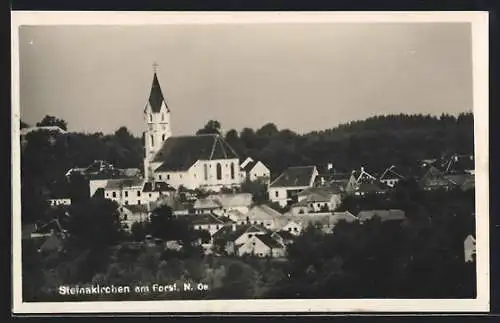 AK Steinakirchen am Forst /N.-Oe., Teilansicht mit Kirche