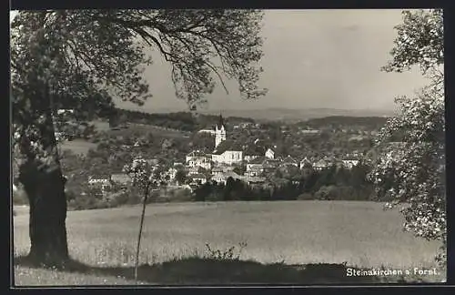 AK Steinakirchen am Forst, Teilansicht mit Kirche