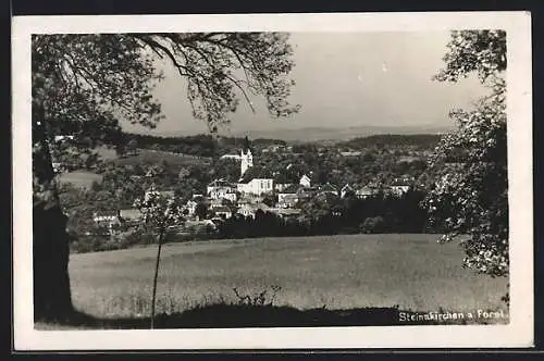 AK Steinakirchen am Forst, Teilansicht mit Kirche