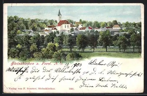 AK Steinakirchen a. Forst, Blick nach der Kirche