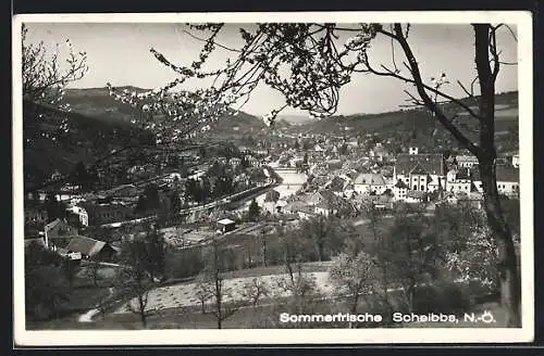 AK Scheibbs /N.-Ö., Teilansicht mit Kirche