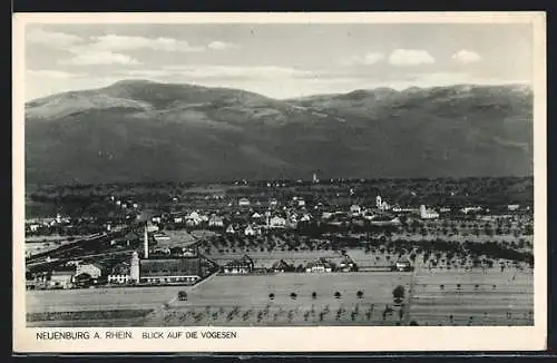 AK Neuenburg a. Rhein, Blick auf die Vogesen, Häuser und Kirche