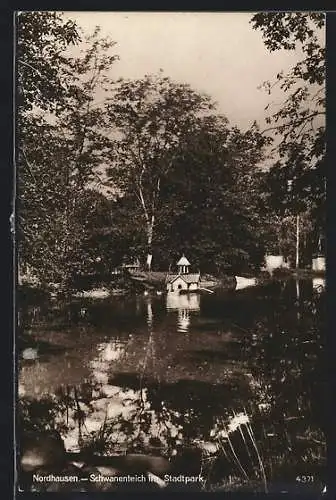 AK Nordhausen, Schwanenteich im Stadtpark