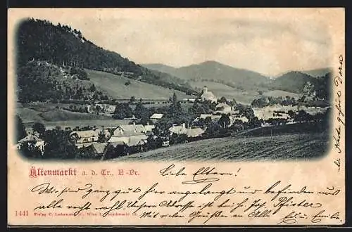 AK Altenmarkt an der Triesting, Ortsansicht mit Bergen