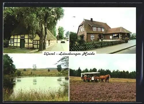 AK Wesel / Nordheide, Geschäftshaus E. Kröger, Fischteich, Kutschfahrt