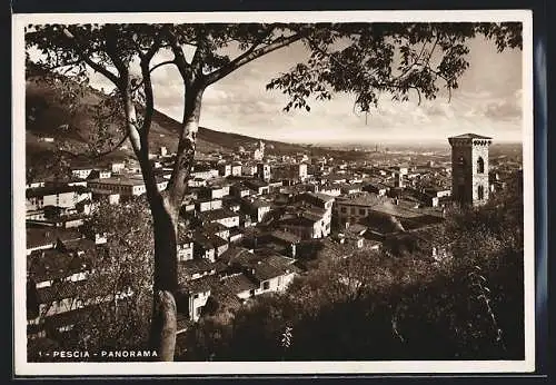 AK Pescia, Panorama aus der Vogelschau
