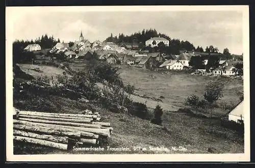 AK Traunstein /N.-Ö., Teilansicht mit Baumstämmen