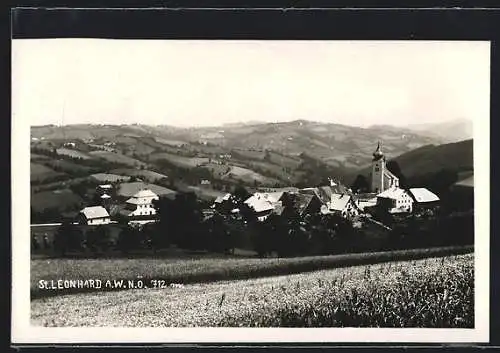 AK St. Leonhard a. W., Totale von der Bergwiese aus gesehen