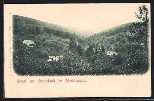 AK Mauerbach /N.-Oe., Steinbach bei Weidlingau, Ortspartie