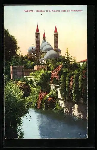 AK Padova, Basilica di S. Antonio vista da Pontecorvo