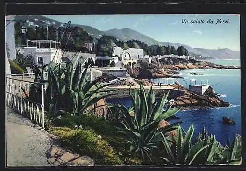 AK Nervi, Panorama