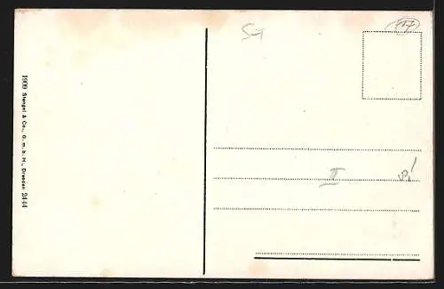 AK Sterzing i. Tirol, Burg Sprechenstein aus der Vogelschau