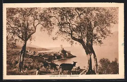 AK Malcesine, Panorama