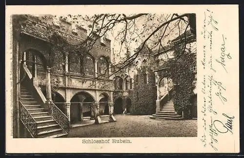 AK Meran, Schloss Rubein, Schlosshof mit Weinranken