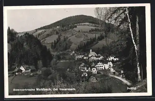 AK Waldbach, Ortsansicht aus der Vogelschau