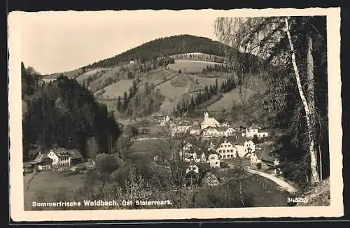 AK Waldbach, Ortsansicht aus der Vogelschau