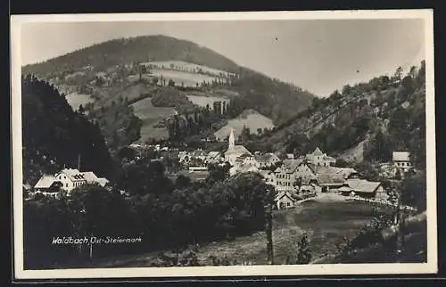 AK Waldbach, Ortsansicht aus der Vogelschau