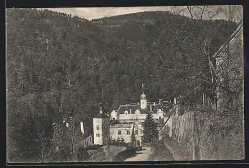 AK St. Johann b. Herberstein, Schloss Herberstein aus der Vogelschau