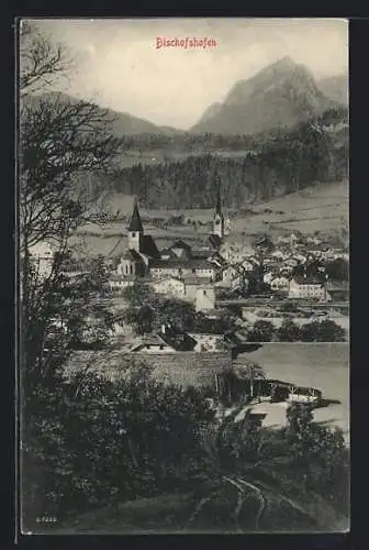 AK Bischofshofen, Ortspanorama