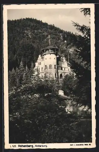 AK Hohenberg, Hinterburg mit Wald