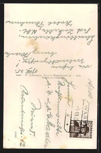 AK Scheiblingkirchen, Ortsansicht aus der Vogelschau