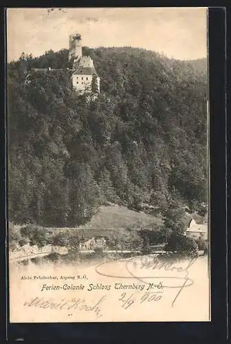 AK Scheiblingkirchen-Thernberg, Feriencolonie Schloss Thernberg