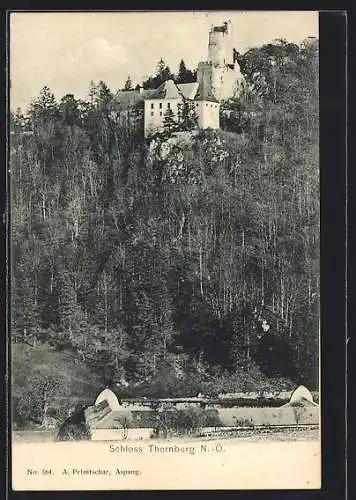 AK Scheiblingkirchen-Thernberg, Blick auf das Schloss Thernberg