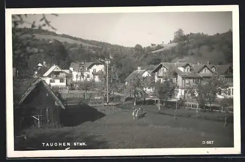 AK Tauchen /Stmk., Ortspartie mit kleiner Hütte