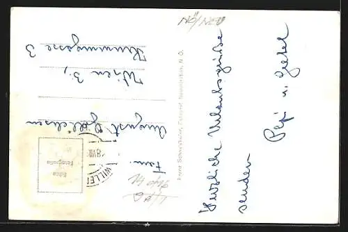 AK Willendorf an der Schneebergbahn, Totalansicht