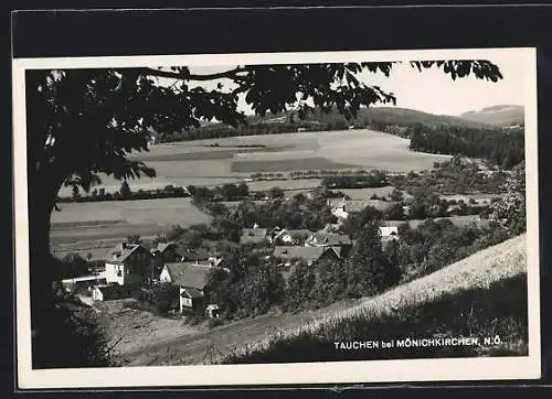 AK Tauchen bei Mönichkirchen, Ortsansicht von oben