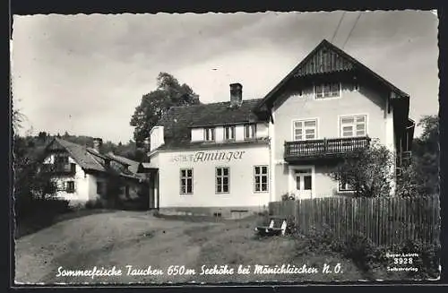 AK Tauchen bei Mönichkirchen, Gasthof Aminger