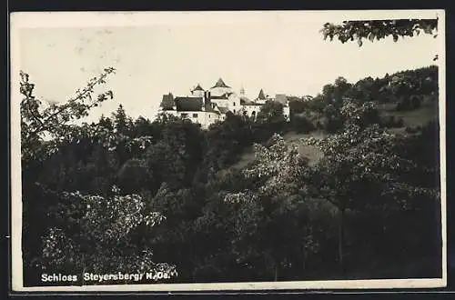 AK Warth /N.-Oe., Ansicht vom Schloss Steyersberg