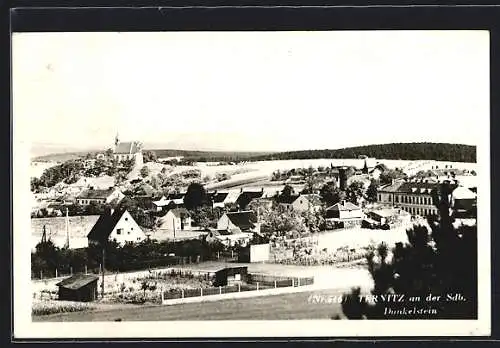 AK Ternitz an der Sdb., Dunkelstein, Ortsansicht