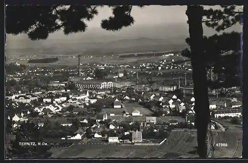 AK Ternitz /N.Oe., Ortsansicht aus der Vogelschau