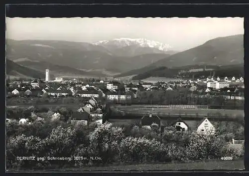 AK Ternitz /N.Oe., Ortsansicht gegen den Schneeberg