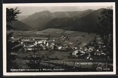 AK Langenwang i. Mürztale, Totalansicht