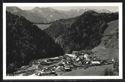 AK Krampen a. d. Mürz, Ortsansicht aus der Vogelschau