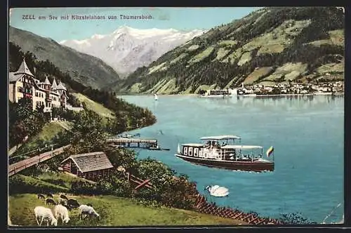 AK Zell am See, Bootspartie mit Kitzsteinhorn von Thumersbach