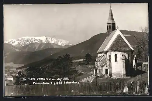 AK Ternitz an der Sdb., Peterskircherl gegen Schneeberg