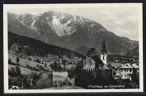 AK Puchberg am Schneeberg, Ortsansicht mit Kirche