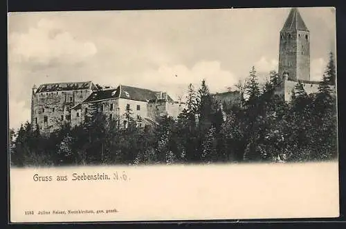 AK Seebenstein /N.Ö., Ortspartie mit Schloss