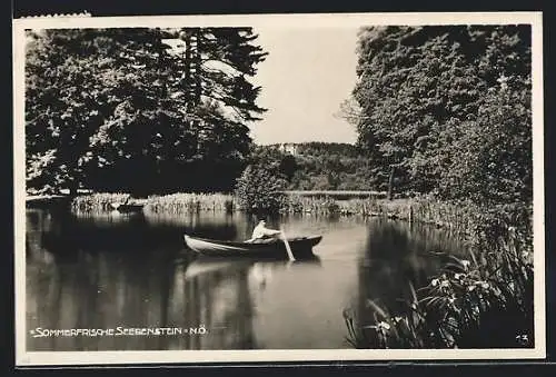 AK Seebenstein /N.Ö., Ruderboot auf dem See