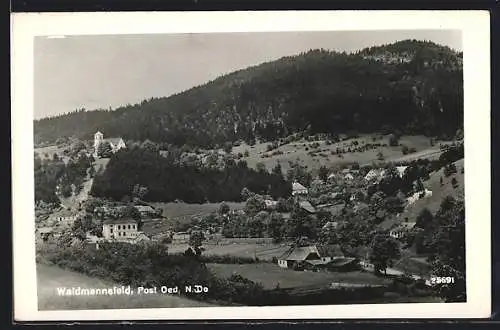 AK Waidmannsfeld /N.-Oe., Ortspartie mit Kirche