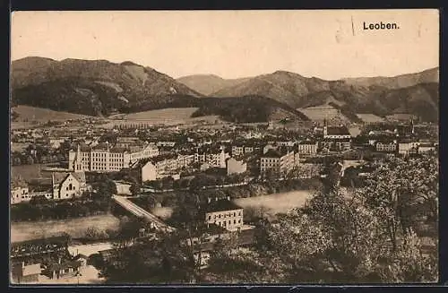 AK Leoben, Ortsansicht über den Fluss