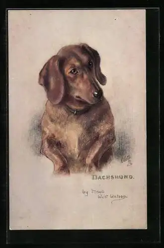 Künstler-AK Dachshund, Brauner Dackel mit Halsband