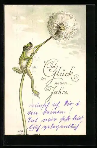 AK Frosch klettert auf eine Pusteblume, Neujahrsgruss