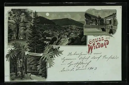 Mondschein-Lithographie Wildbad / Enz, Trinkhalle & Hotel Bellevue, Anlagenparthien, Ortsansicht