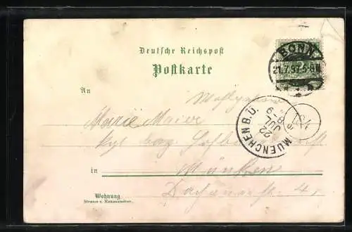 Lithographie Coblenz, Stolzenfels, Lahneck, Loreley bei Nacht, Pfalz bei Caub, Blücherdenkmal, Dampfer um 1900