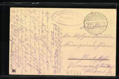 AK Wildbad / Enz, Forsthaus mit grosser Tanne im Rollwassertal